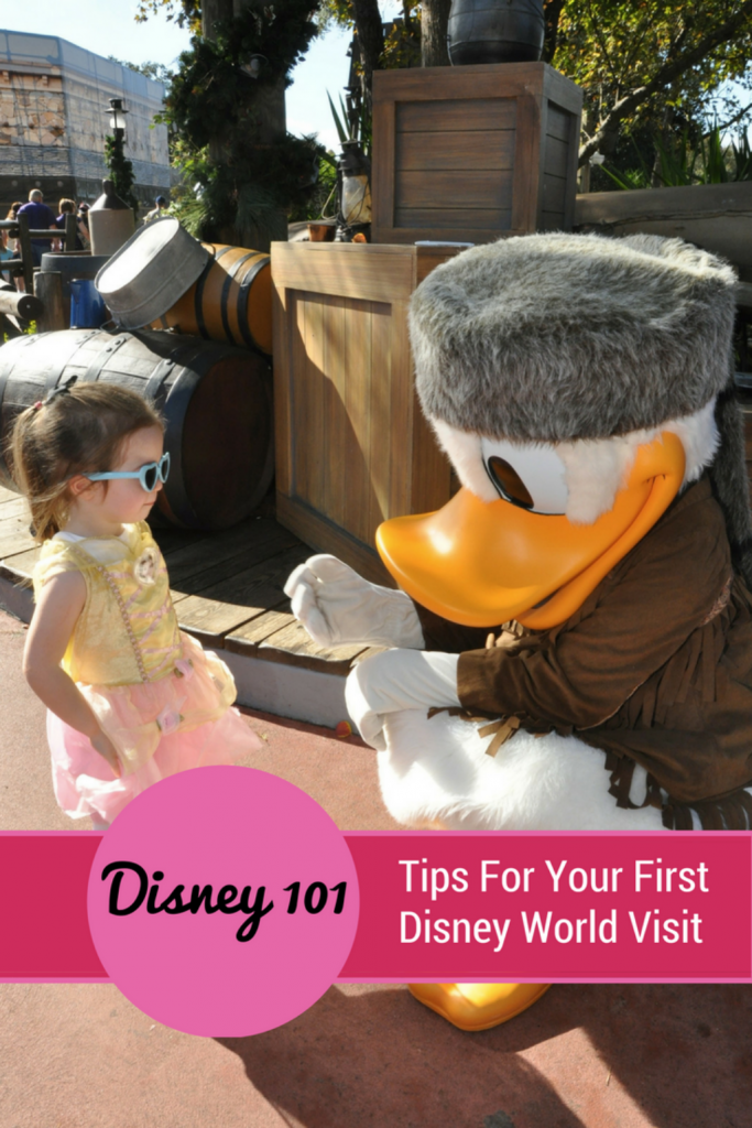 Going to Disney World for the first time is so exciting, but can cause anxiety, too. Find out what I wish I had known before our first trip.