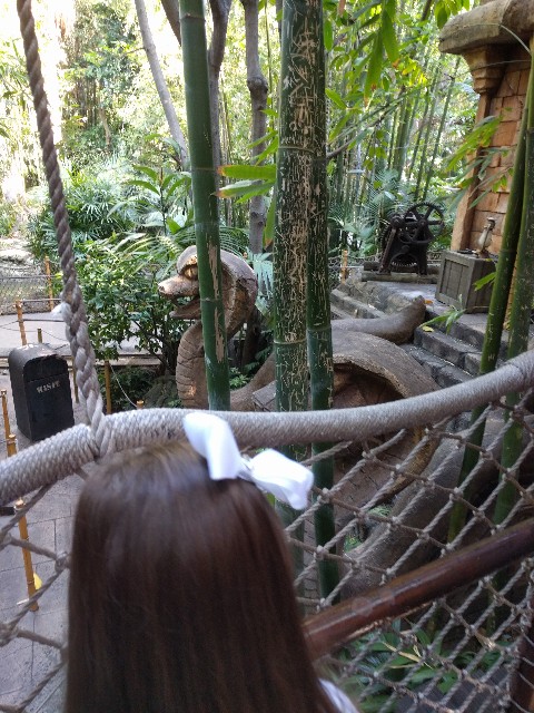 A snake waits for us in the Indiana Jones line