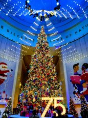 Are you visiting Chicago this Christmas and looking for festive winter activities? Here are our favorite things to do to celebrate Christmas in Chicago . #chicago #christmasinchicago