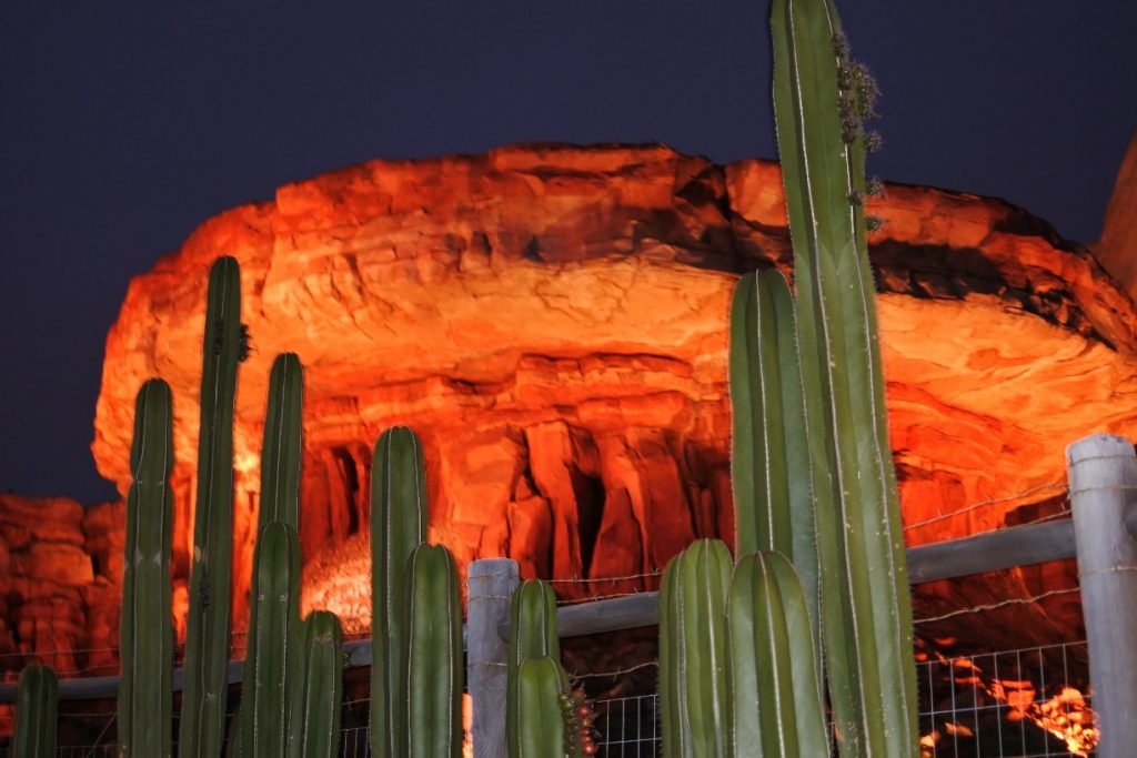 Radiator Springs at night