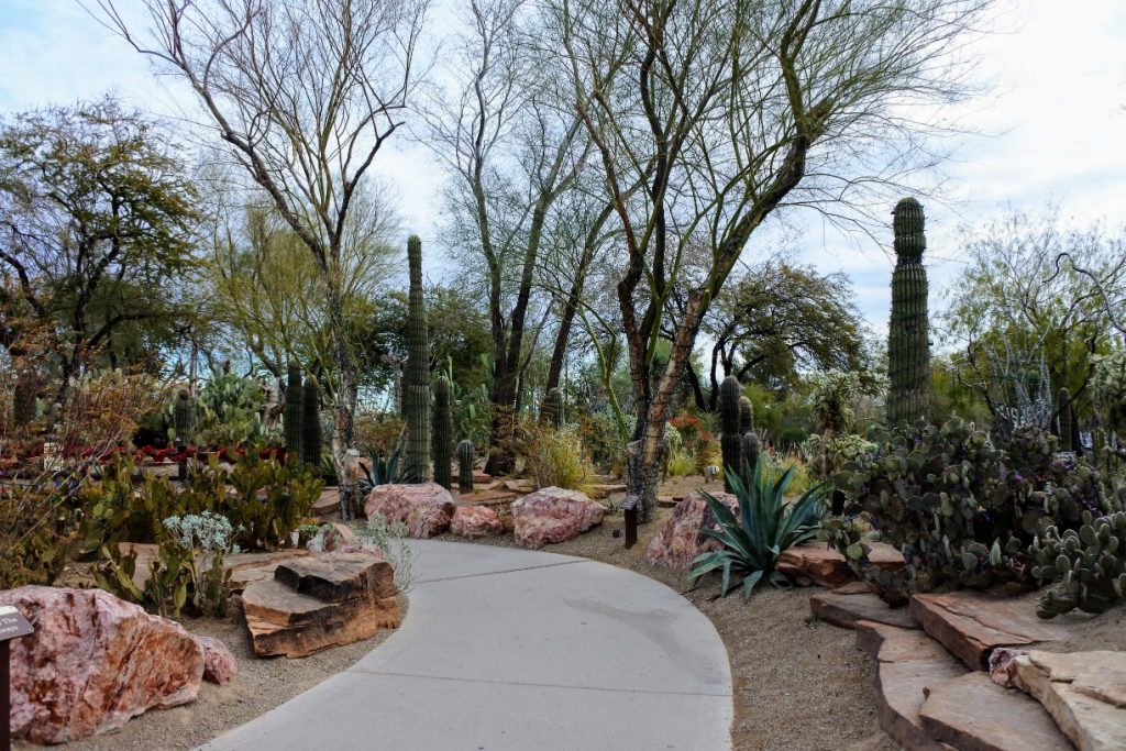 Visiting Las Vegas As A Family Can Be Fun! See What We Did On Our Trips To Las Vegas. Ethel M Cactus Garden
