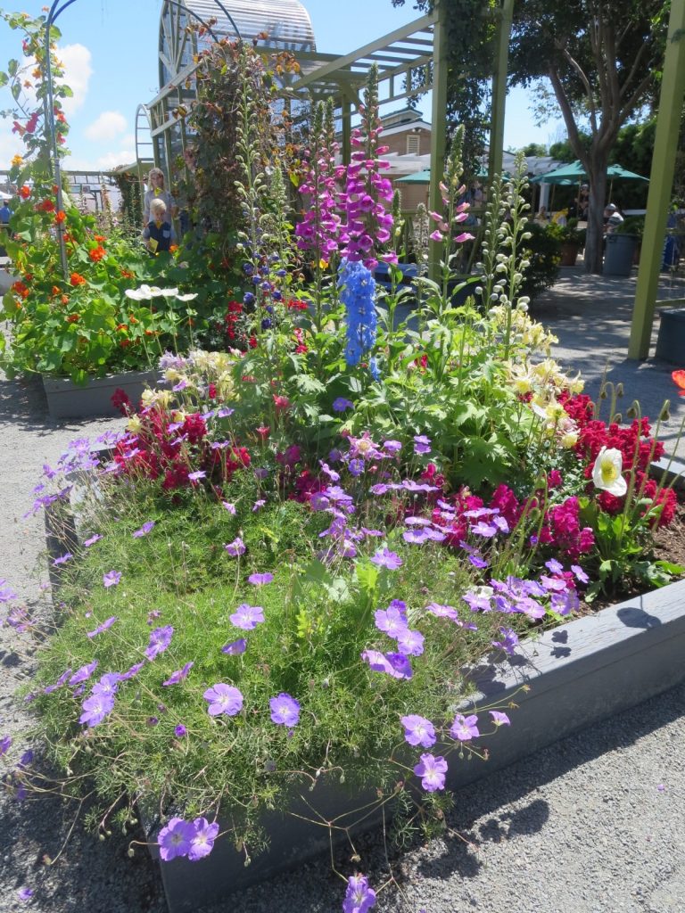 Looking for a picture perfect roadside attraction in Southern California? The Flower Fields is just the place to learn about flower farming and get some beautiful pictures, too.