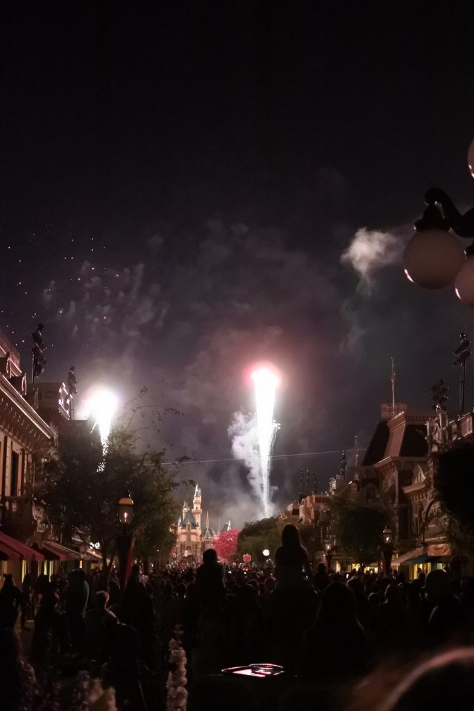 Are you wondering if a Blue Bayou Main Street Electrical Parade dining package is worth it? Here I show you exactly what to expect.