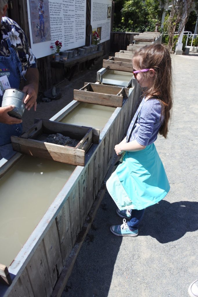 Looking for a picture perfect roadside attraction in Southern California? The Flower Fields is just the place to learn about flower farming and get some beautiful pictures, too.