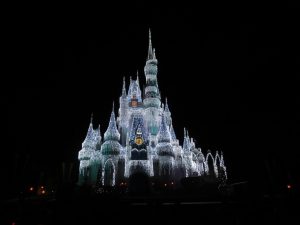 Does it seem like people are speaking a foreign language when talking about Disney World? Let me help you understand key Disney World lingo!