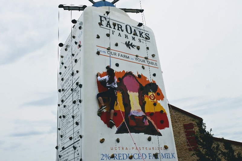 Looking for something different near Chicago or Indianapolis? Take a 90 minute drive out to Fair Oaks Farms where you can learn all about a real working farm.