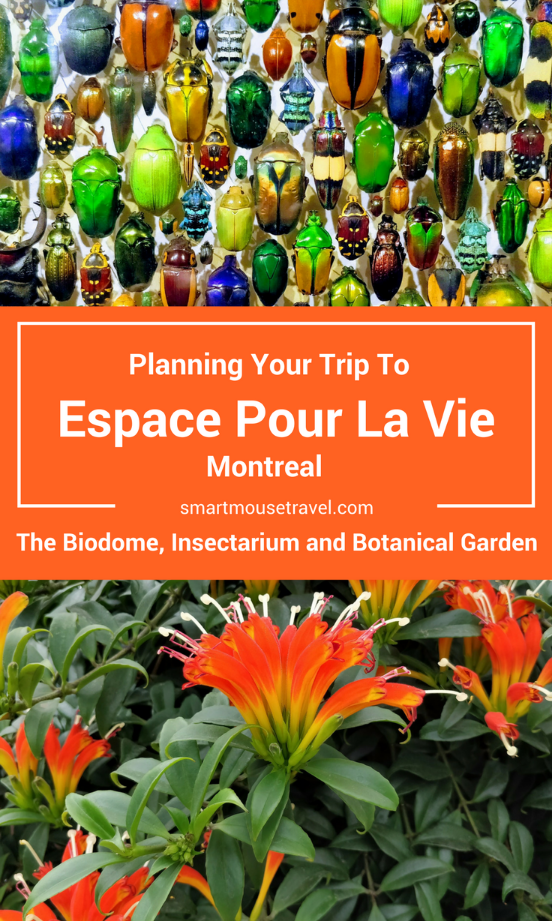 Espace Pour La Vie (Space For Life) is a must see when in Montreal! The Biodome, Insectarium, Botanical Garden, and Planetarium have something for everyone. Find out what to see and how to avoid common mistakes when visiting one of the best places in Montreal!