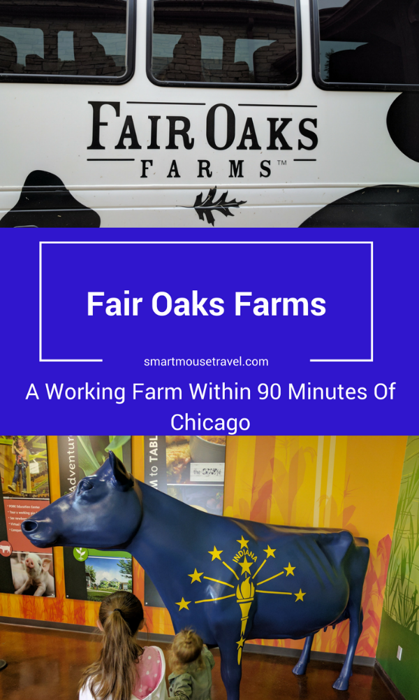 Looking for something different near Chicago or Indianapolis? Take a 90 minute drive out to Fair Oaks Farms where you can learn all about a real working farm.
