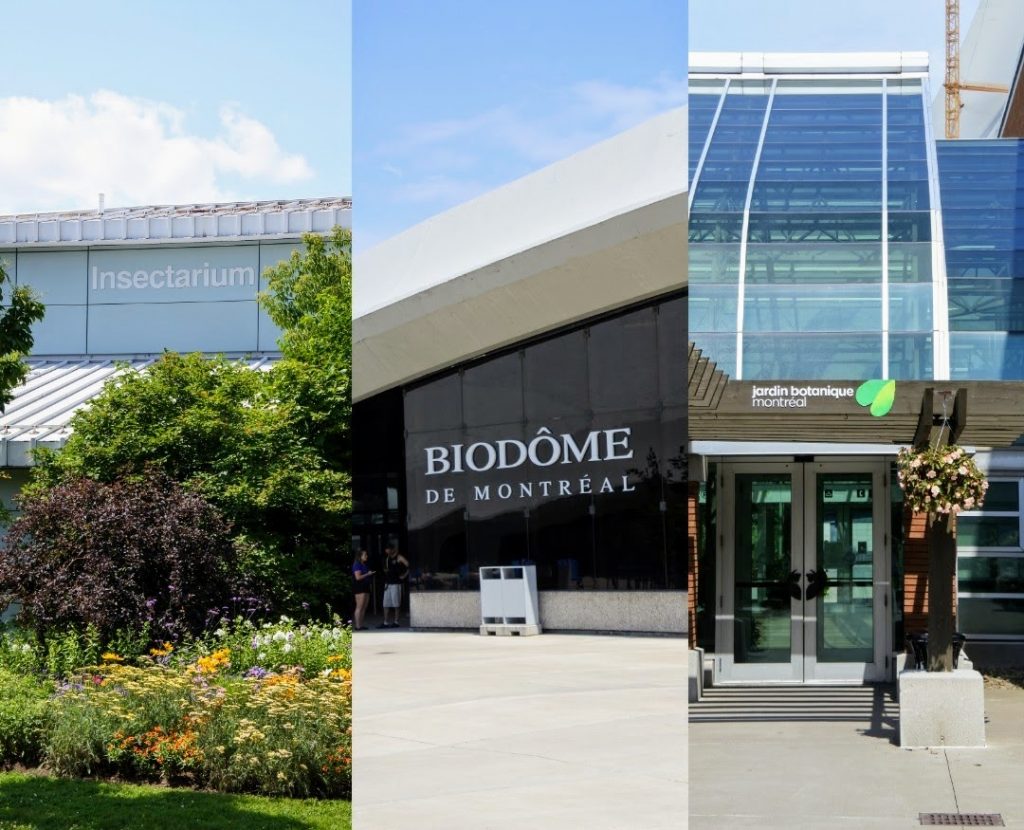 Espace Pour La Vie (Space For Life) is a must see when in Montreal! The Biodome, Insectarium, Botanical Garden, and Planetarium have something for everyone.