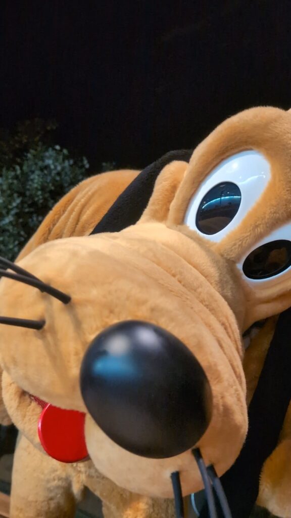 Pluto leans in close to the camera during Chip 'n' Dale's Harvest Feast