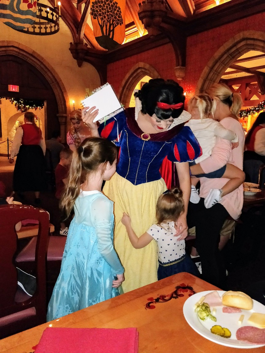 magic kingdom walt disney world character dining