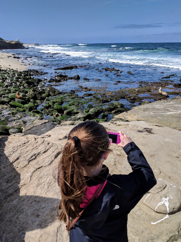 San Diego is an amazing place for anyone’s vacation, but we especially love the unbelievable amount of family friendly activities in San Diego. Find out our favorite activities for a great family trip to San Diego. I bet some of the activities will surprise you! #sandiego #balboapark