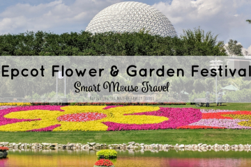 Epcot Flower and Garden Festival Activities range from outdoor kitchens to beautiful gardens and even a butterfly house. Find out our favorite things to do at Epcot Flower and Garden Festival. #epcot #disneyworld