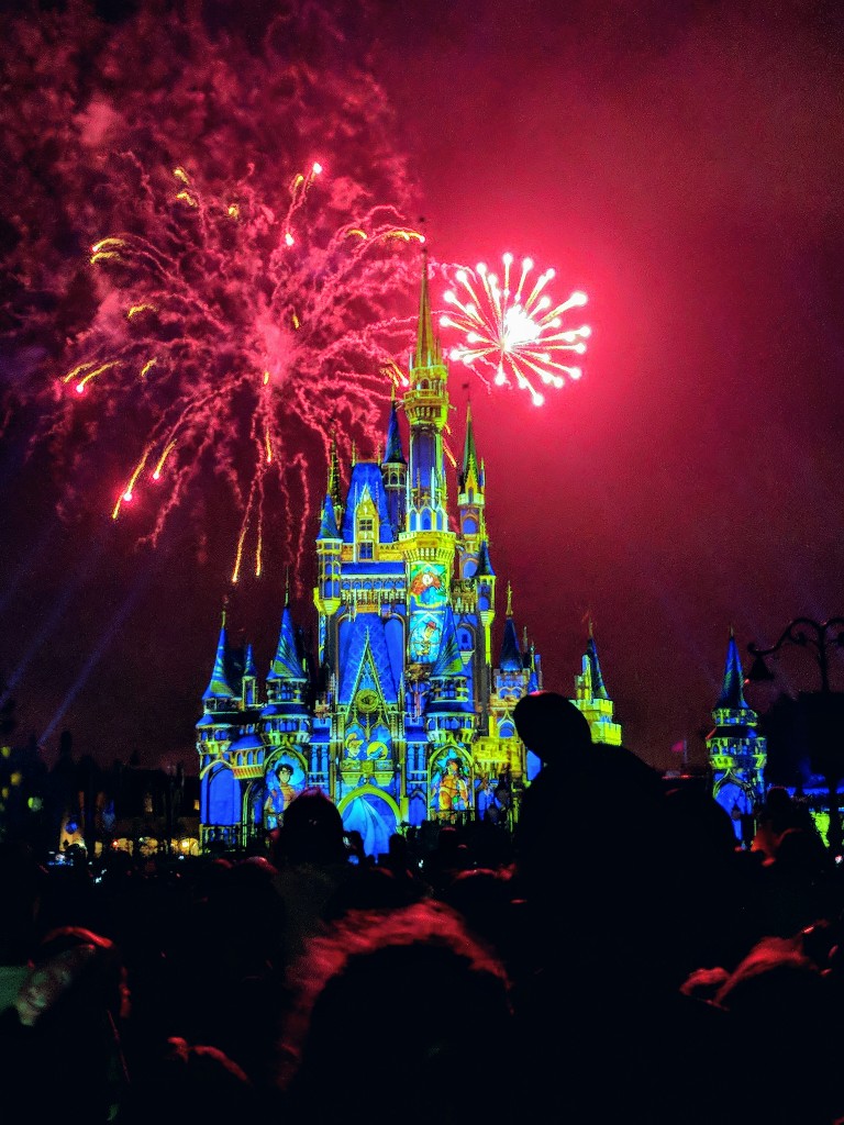 As frequent Disney Park visitors I often get asked if we ever get bored at Disney. Find out why even after many trips we have never been bored at Disney. #disney #disneyworld