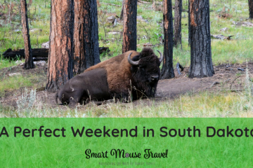 Mount Rushmore is a popular tourist destination, but South Dakota has so much more to offer. Follow our South Dakota itinerary for a great family trip. #visitsouthdakota #badlandsnationalpark #thebadlands #blackhills #custerstatepark #familytravel #mountrushmore