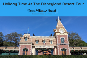 Holiday Time At The Disneyland Resort Tour is a seasonal group tour with special A Christmas Fantasy Parade seats. Find out if you should book this tour! #disneyland #disneylandtour #disneychristmas #disneyvacation