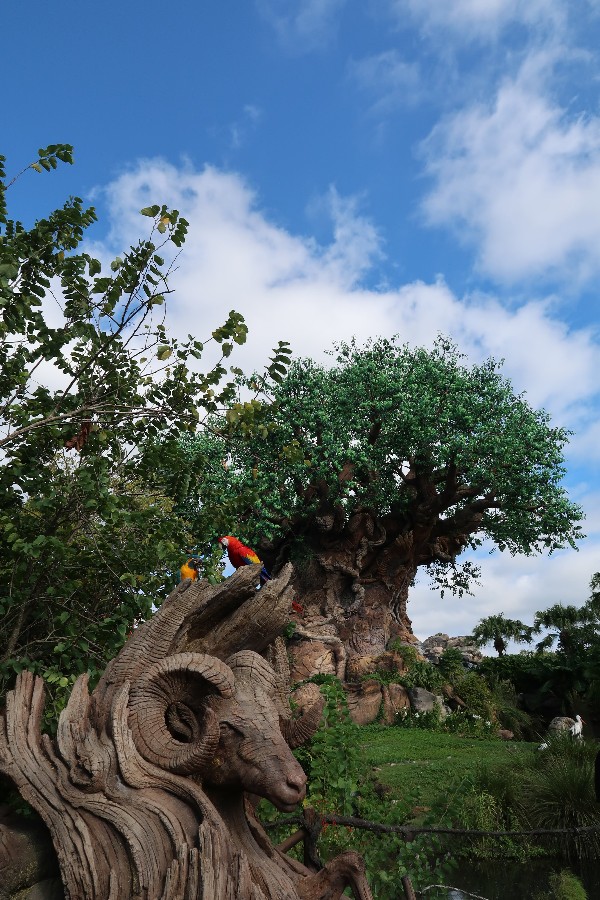 Are you having trouble deciding between a Disneyland Or Disney World trip? Learn more about each and how to choose the right Disney vacation for your family. #disneyland #disneyworld #disneyvacation #familytravel