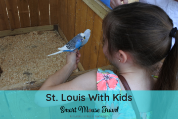 A family vacation to St. Louis can be a fun and inexpensive travel option. Here's a list of our favorite activities in St. Louis with kids. #stlouis #midwest #familytravel #travel #travelwithkids