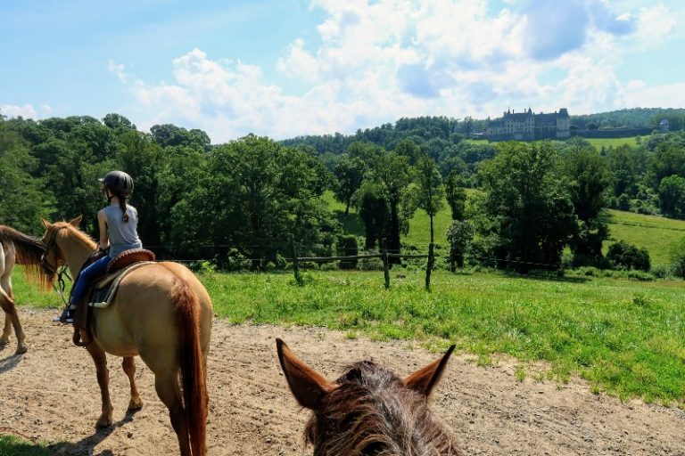 biltmore horse tour