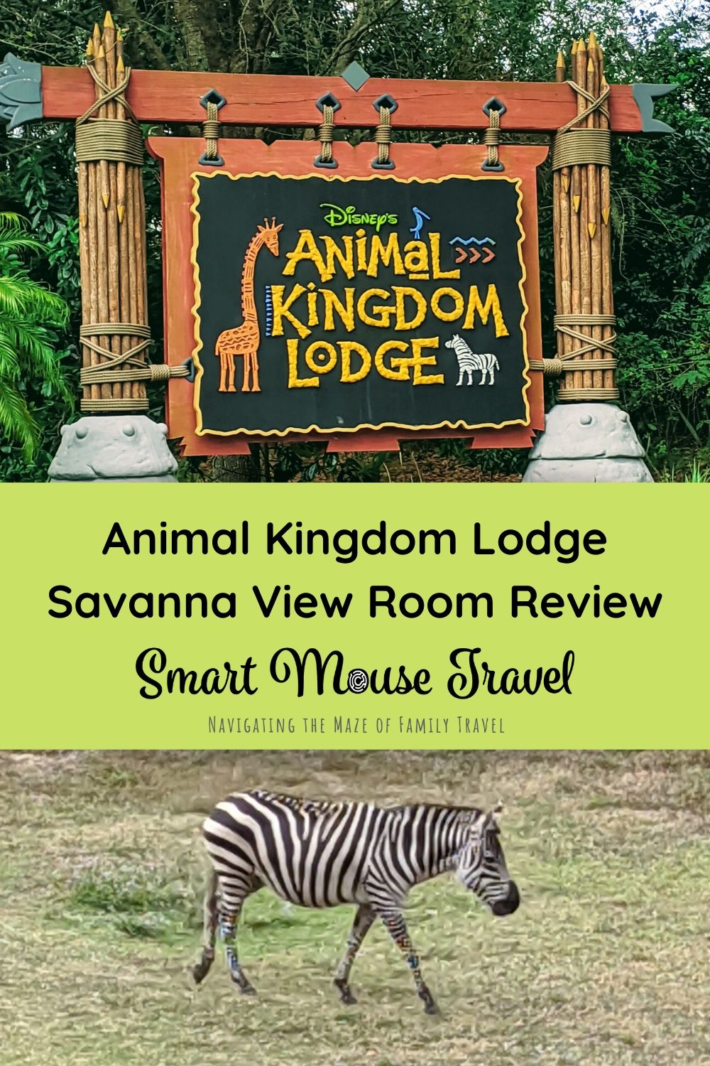 Animal Kingdom Lodge at Disney World has lots of unique offerings. Take a tour of a remodeled Animal Kingdom Lodge savanna view room and the resort, too. #animalkingdomlodge #disneyworld #disneyworldresorts #familytravel #disneytips