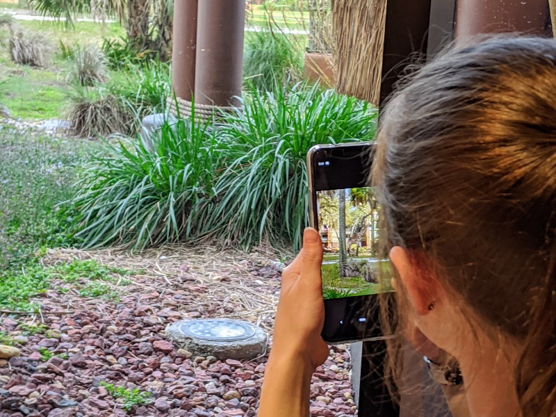 Animal Kingdom Lodge at Disney World has lots of unique offerings. Take a tour of a remodeled Animal Kingdom Lodge savanna view room and the resort, too. #animalkingdomlodge #disneyworld #disneyworldresorts #familytravel #disneytips