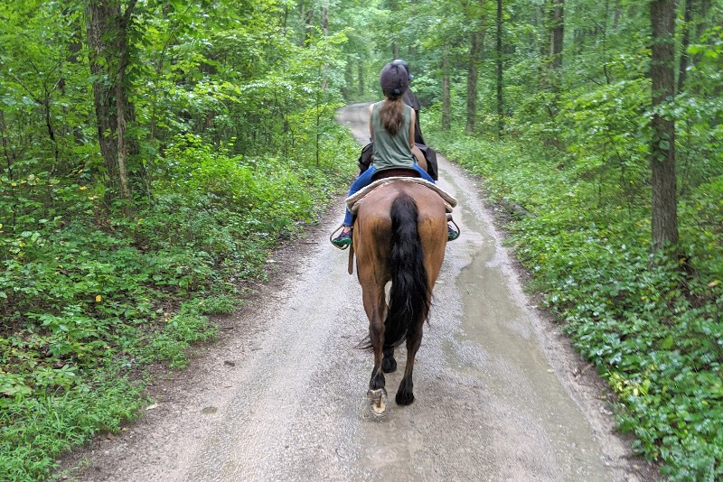 Mammoth Cave National Park With Kids Smart Mouse Travel