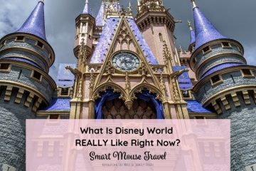 Visiting Disney World after COVID reopening, during peak crowds, gave us a real look into what visiting Disney World is like right now.