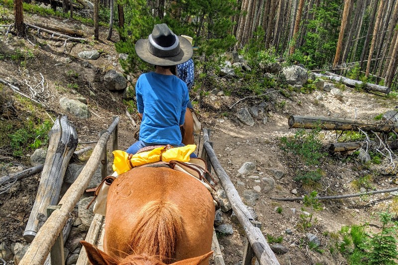 Horseback riding through uneven terrain.