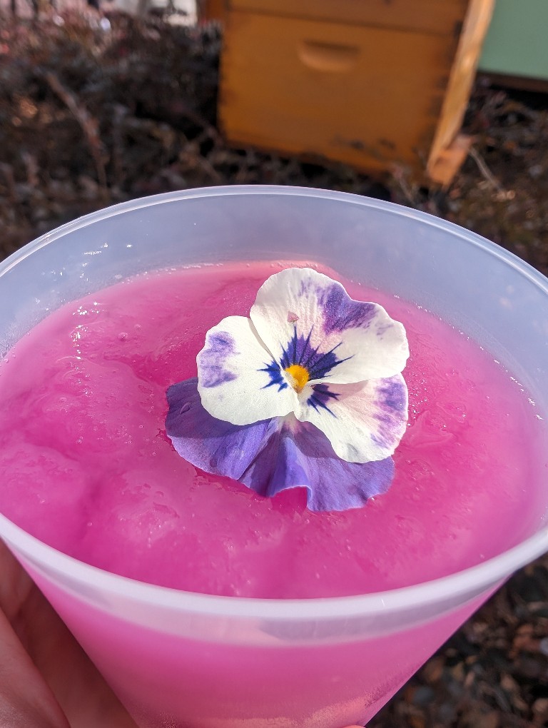 A frozen violet lemon drink with an edible white and purple flower is a must do Flower and Garden treat