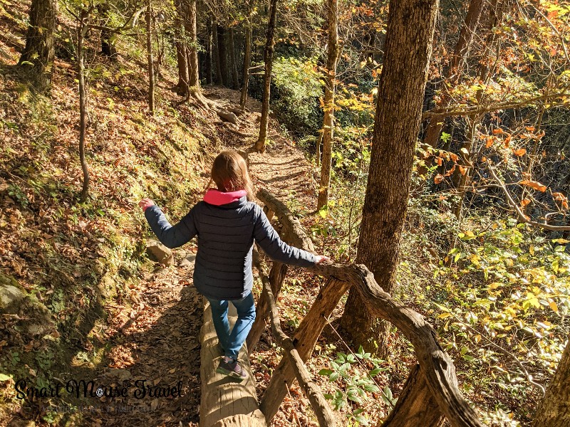 Fall foliage along steep hiking trail. Use these tips for avoiding crowds at Great Smoky Mountains National Park to have a fun and relaxing family vacation in Tennessee.