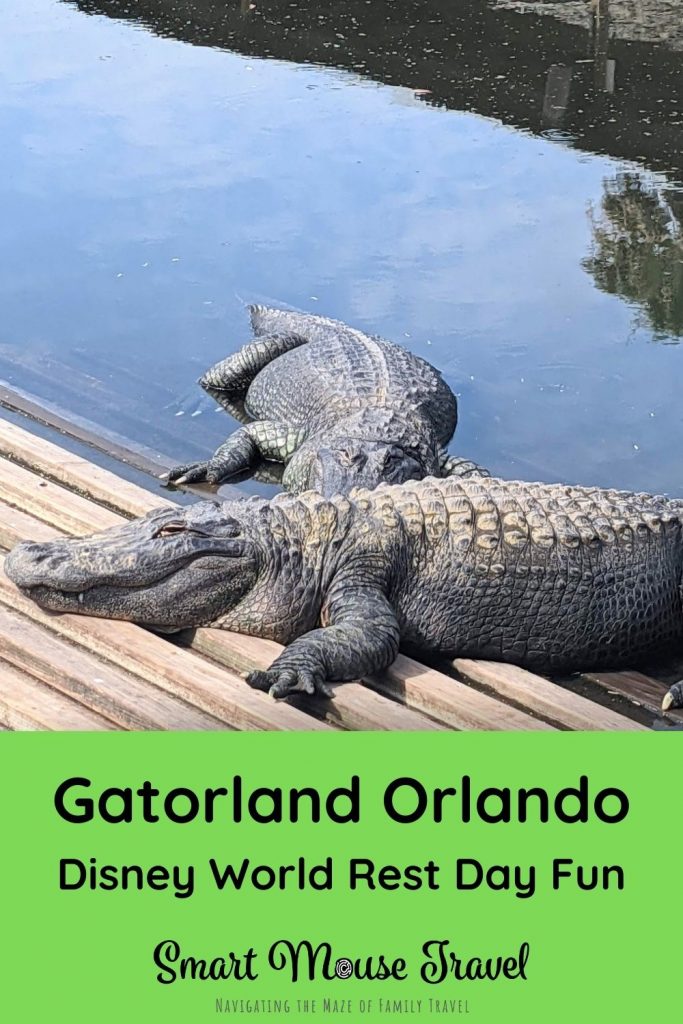 Gatorland Orlando is an educational, exciting mix of zoo, live shows, and hands on experiences perfect for a Disney World rest day.