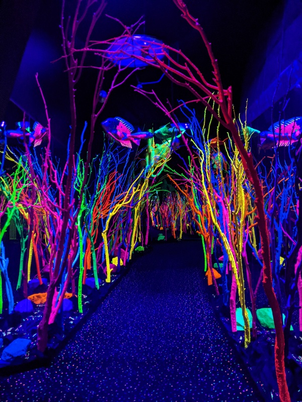 Blacklit walkway with brightly colored coral along sides and fish above.