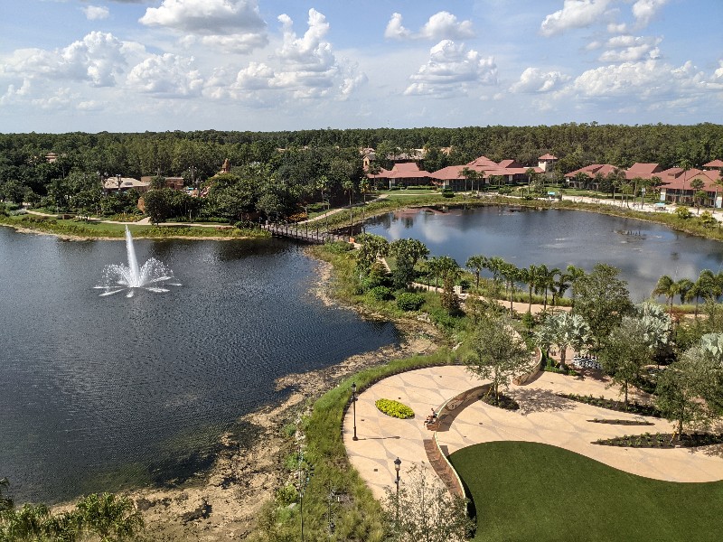 Sweeping views of Coronado Springs resort lake from a Gran Destino Tower water view room.