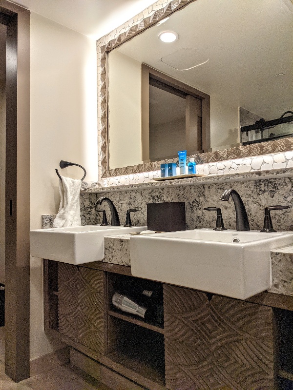 Double sinks with a mirror above and limited storage below.