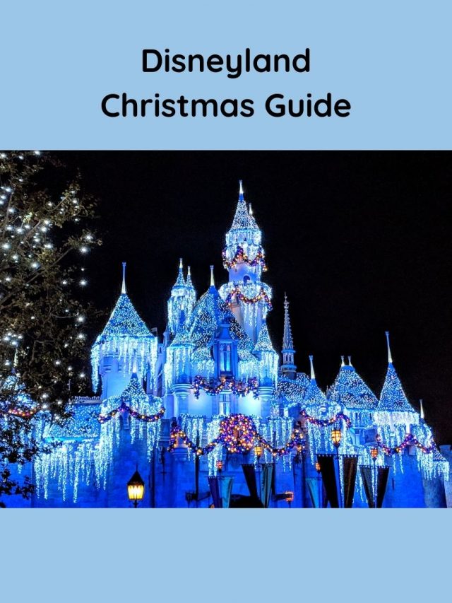 cropped-Disneyland-Christmas-Webstory.jpg