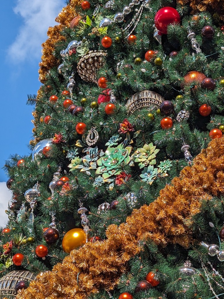 A close up of sparkling Town Center tree decor which looks like hen and chick succulents