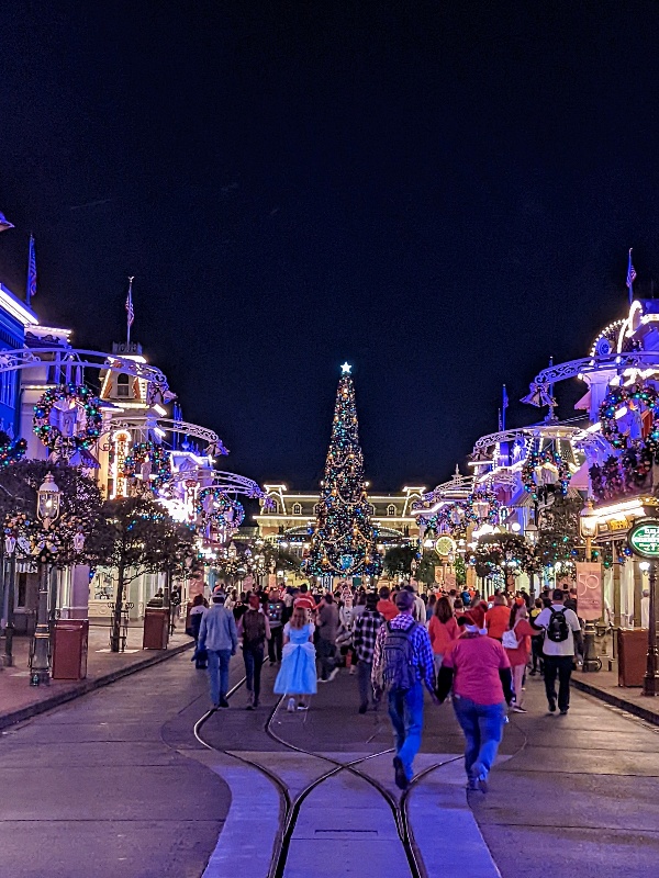 Main Street USA with a 60 foot Christmas tree at the end and shops with wreaths and lights along the sides