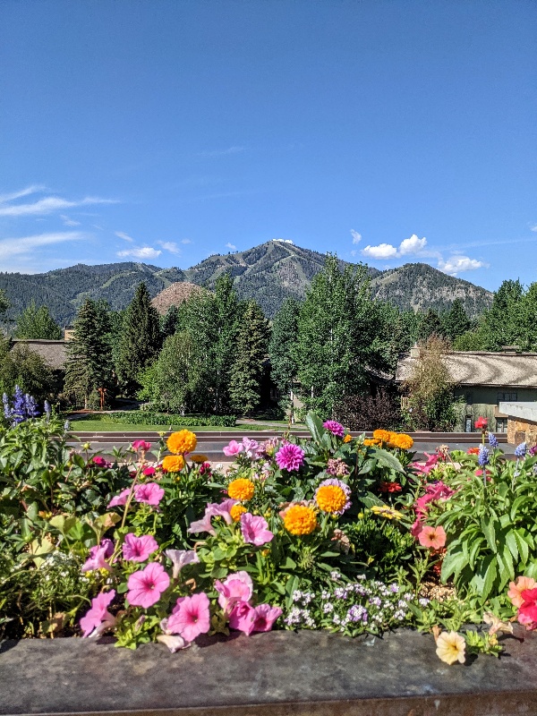 Summer in Magical Sun Valley