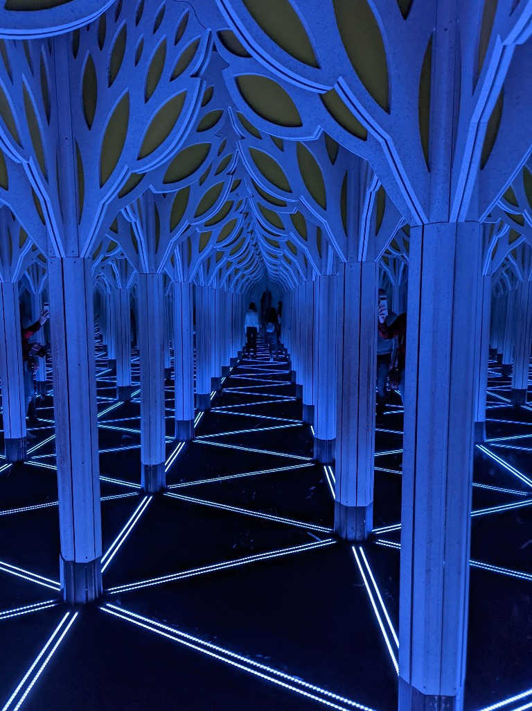 Mirror maze exhibit at MSI