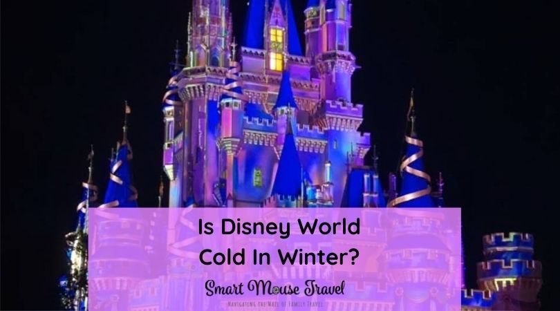 Is Disney World cold in winter? Yes! Although not what you normally think of for Florida, we've learned to enjoy cold Disney World days.