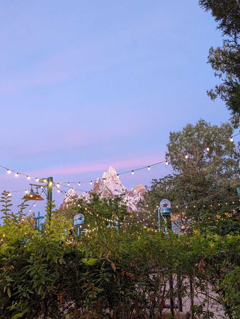 A pink and purple sky above Expedition Everest at Animal Kingdom