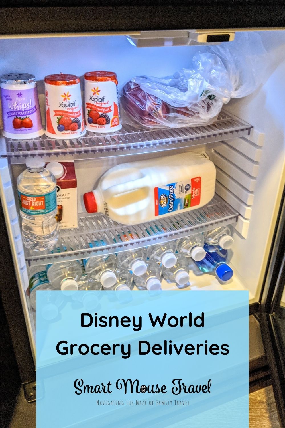 Disney World Grocery Delivery Services Smart Mouse Travel   Disney World Groceries Pin 