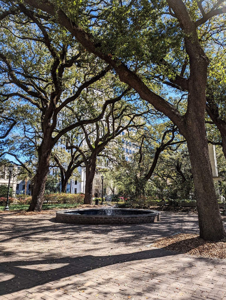 Live Oak Trees draped in Spanish Moss at one of many Savannah squares