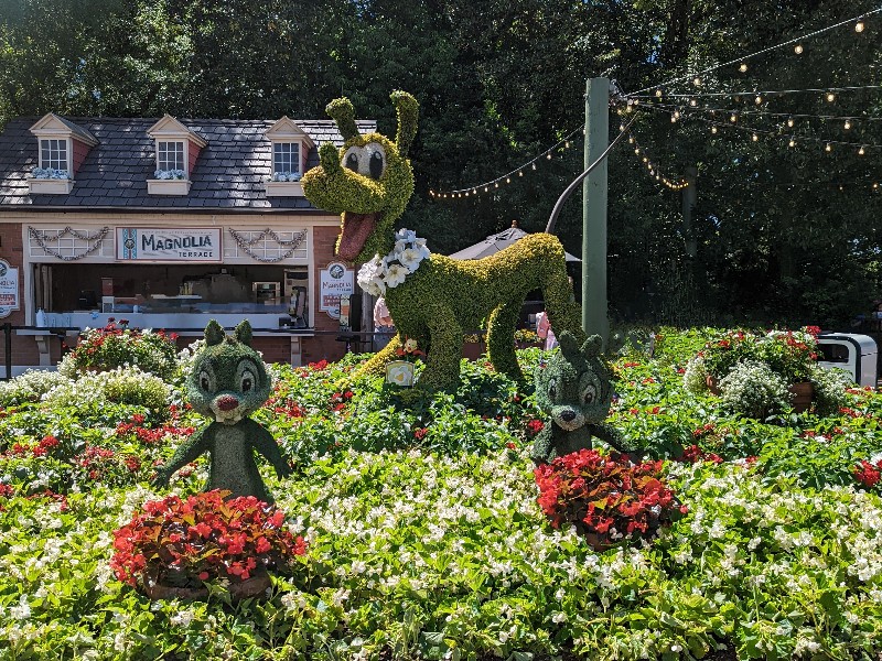 Pluto, Chip, and Dale look happy to see you in a topiary display in American Adventure during Epcot Flower and Garden Festival