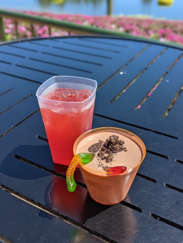 Refreshing Blood Orange Agua Fresca and a thick cookie butter shake at Epcot Flower and Garden Festival