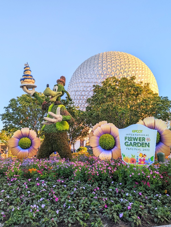 A Goofy topiary greets guests entering Epcot International Flower and Garden Festival