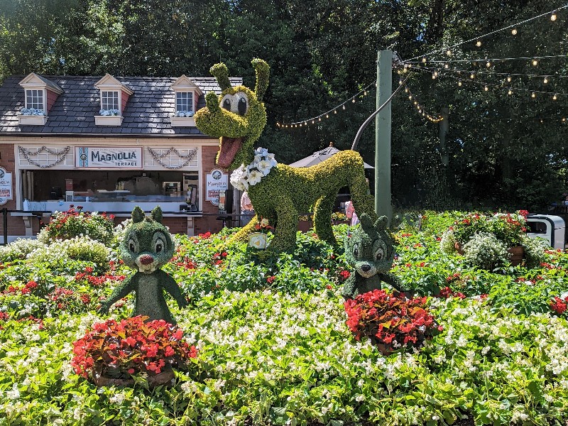 A Pluto topiary poses happily in the greenery of the American Adventure