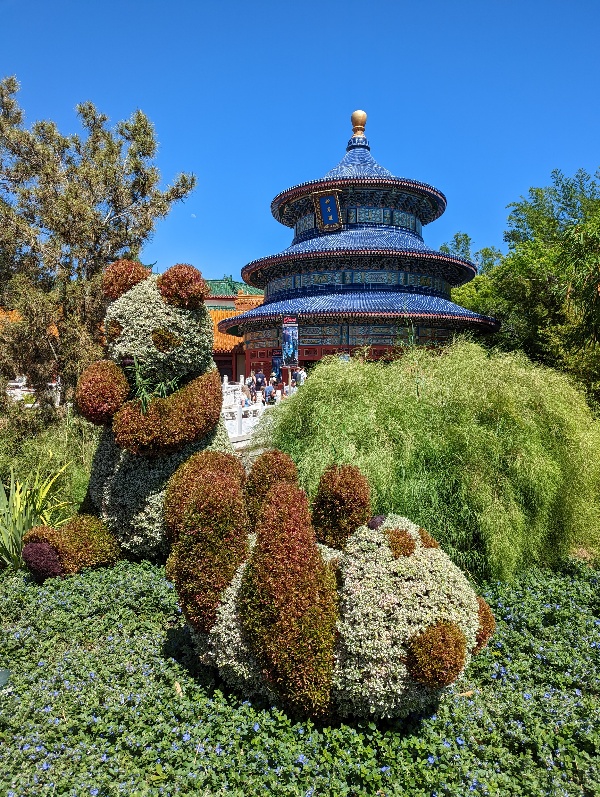 Panda topiaries are a pictureque addition to the China pavilion at Epcot