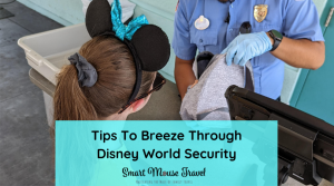 Everyone must go through security at Disney, but you can breeze through Disney World security with these time saving tips.