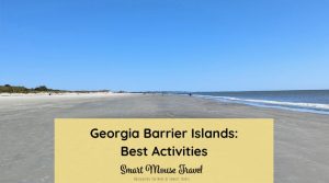 Comparing Georgia islands is crucial when planning a trip. Learn all about Tybee Island, Jekyll Island, St. Simons and Sea Island activities.